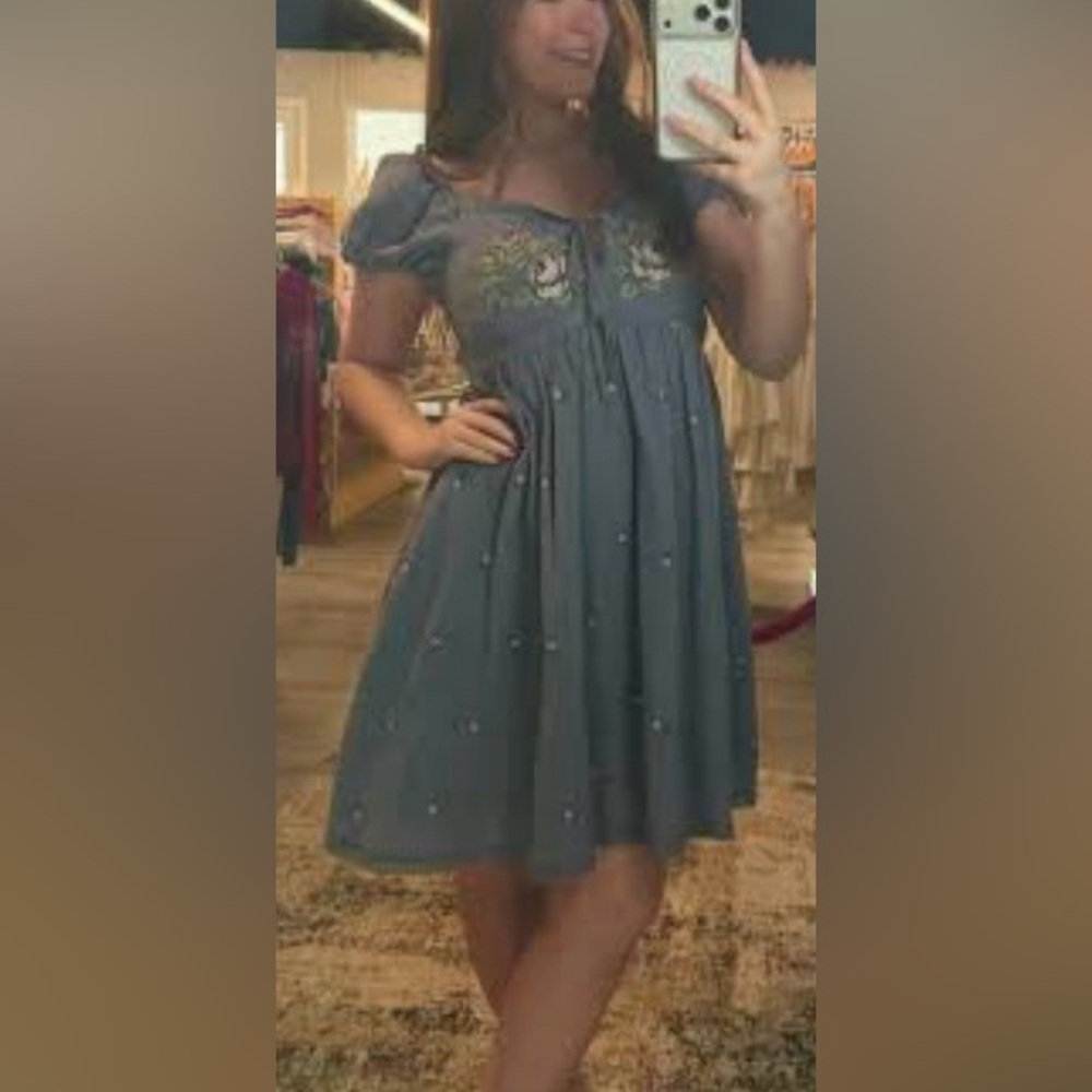 In Loom Elemental Blue Puff-Sleeve Embroidered Babydoll Dress, NWT, Size Large